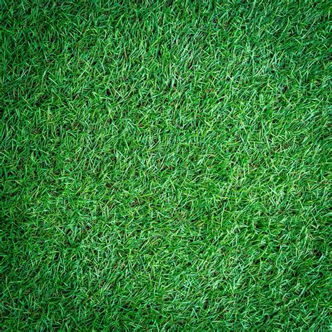 artificial Turf grass background and texture 19885460 Stock Photo at ...