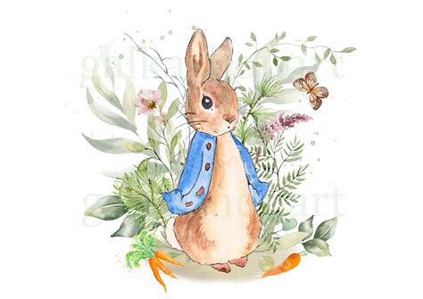 Peter Rabbit Illustrations Public Domain