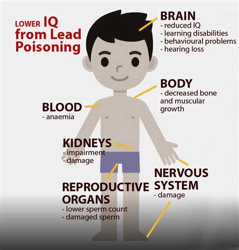 Health Effects Of Lead Poisoning On Children – Consumers Association Penang