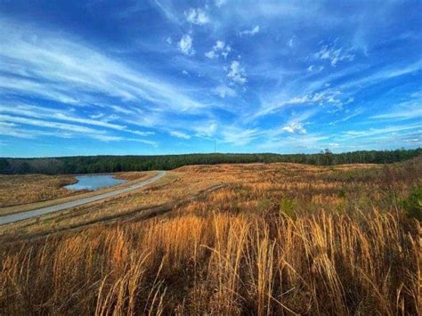 How To Explore Sand Mountain Alabama: A Guide