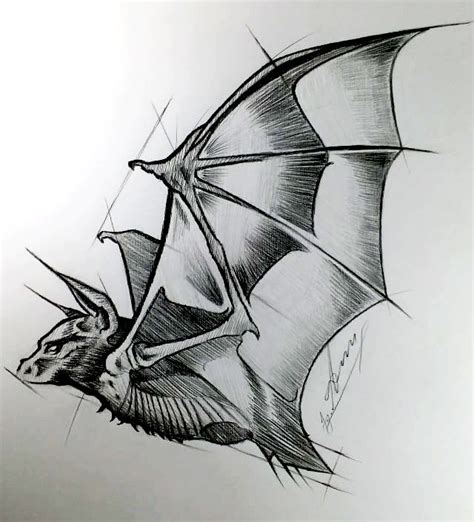 Flying Bat | Dark art drawings, Bat art, Bat sketch