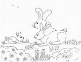 Robins Great Coloring Pages Bunny Family  Small Children coloring Page sketch template
