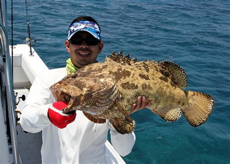 How to Catch Grouper - Tips for Fishing for Grouper