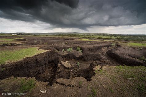 Soil depletion: a neglected issue requiring urgent attention - Tehran Times