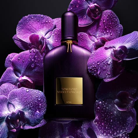 Top 45+ imagen tom ford perfume purple orchid - Abzlocal.mx