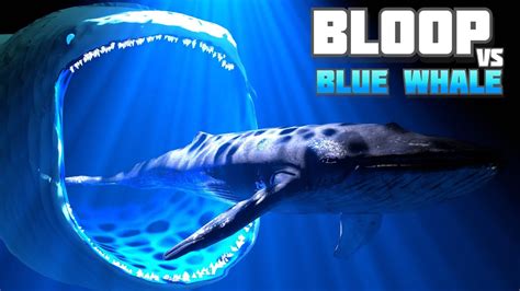 Bloop vs Blue Whale (Sea Animals): The Ultimate Size Comparison 🐋🔍 - YouTube