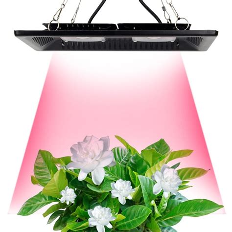 Led Grow Light Full Spectrum 100W 200W Waterproof IP67 COB Grow LED Lamp for Plant Indoor ...