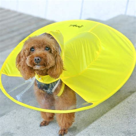 Amazon.com : Alalaso Dog Yellow Raincoat Waterproof Cloak Umbrella All-Inclusive Pet Poncho (XL ...