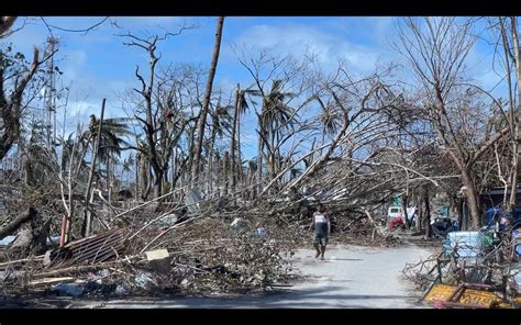 Escudero: Use P75-B coco levy to help coconut growers in typhoon Odette ...