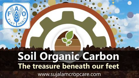 Soil Organic Carbon - YouTube