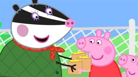 Peppa Pig Full Episodes | Season 8 | Compilation 58 | Kids Video - YouTube