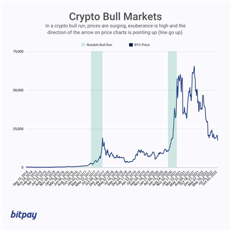 Bear vs Bull Markets: A Guide for Crypto Users [2023] | BitPay