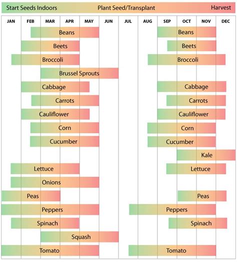 South Georgia Vegetable Planting Calendar