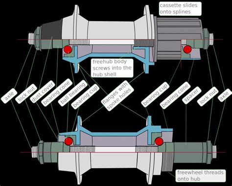 Bike Rear Wheel Hub Assembly Diagram at Joseph Jacobson blog