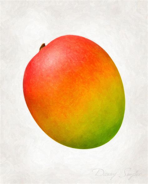 Mango Painting by Danny Smythe