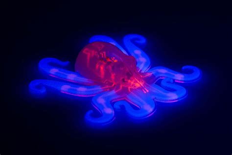 Soft robot octopus uses chemical fuel gut to explore untethered | New ...