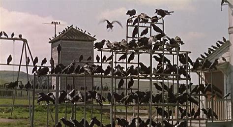 CLASSIC MOVIES: THE BIRDS (1963)