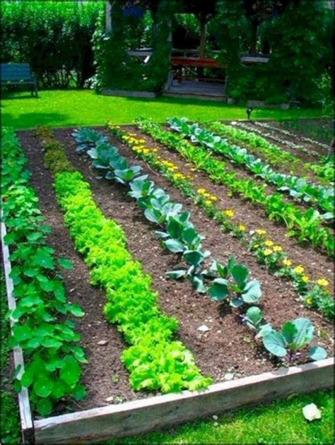 Stunning Vegetable Garden Box Ideas | Vegetable garden planning, Small ...