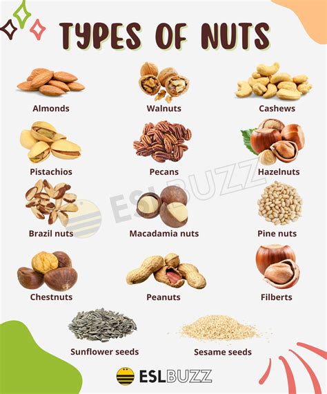 Different Types Of Tree Nuts Wholesale Prices | www.pinnaxis.com