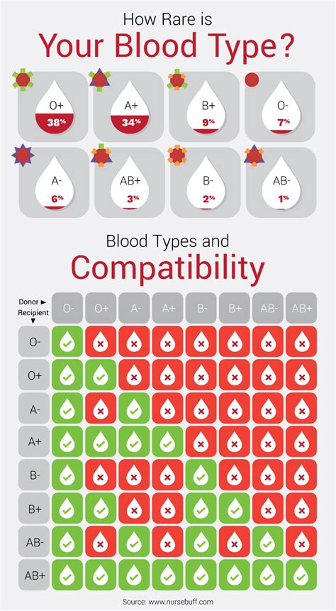 Beginner's Guide to Blood Donation