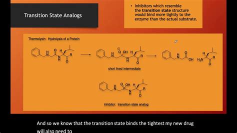 Transition State Analogs as Enzyme Inhibitors - YouTube