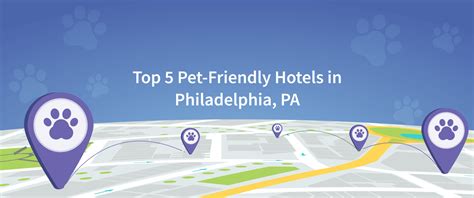 Top 5 Pet-Friendly Hotels in Philadelphia Near Casinos