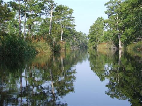 Alligator River National Wildlife Refuge, a North Carolina natlwild