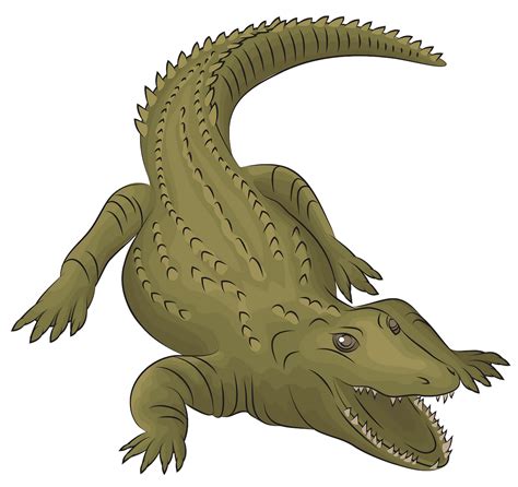 Crocodile clipart nile crocodile, Crocodile nile crocodile Transparent ...