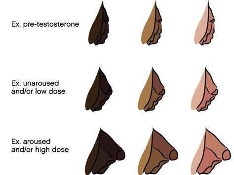 FOLX Health - Testosterone HRT & Bottom Growth