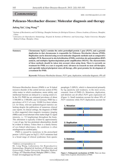 (PDF) Pelizaeus-Merzbacher disease: Molecular diagnosis and therapy