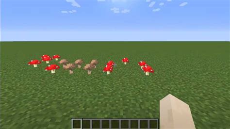 Surface Mushrooms [1.16.5] мод Майнкрафт - CubixWorld.net