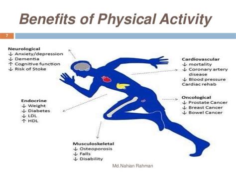 Benefits Of Physical Activity / 7 benefits of regular physical activity - MY VIEWPOINTS ...