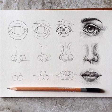 This Artist Is Teaching People How to Draw With Step-by-Step Visual Tutorials | Realistic ...