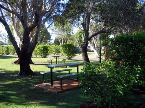 Mudjimba Beach Caravan Park - Mudjimba Picnic tables in shady grove