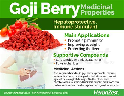 Goji Berry | HerbaZest