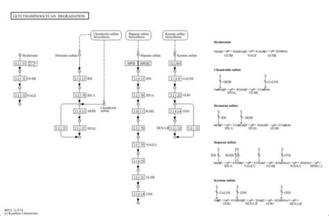 ECMDB: Pathways