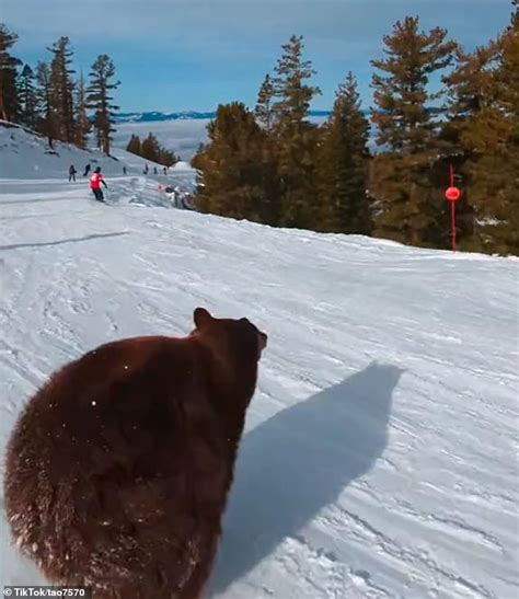 Snowboarder trapped on gondola sat suspended in the air for 15 hours overnight as she 'screamed ...