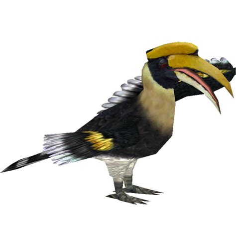 Great Indian Hornbill (ZTABC Team) | ZT2 Download Library Wiki | FANDOM powered by Wikia