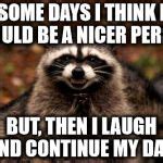 Evil Plotting Raccoon Meme Generator - Imgflip