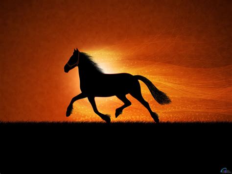 🔥 Free Download Cute Horse Wallpaper by @agreen67 | WallpaperSafari