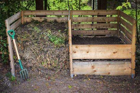 How to Compost Chicken Manure | Chicken manure, Chicken composting, Compost bin diy