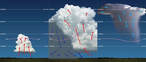 Life Cycle Of A Thunderstorm