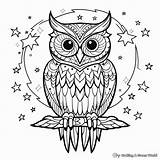 Zentangle Owl Coloring Pages  Free & Printable sketch template