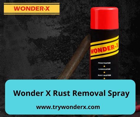 The Best Rust Remover Spray for Every Surface – Site Title