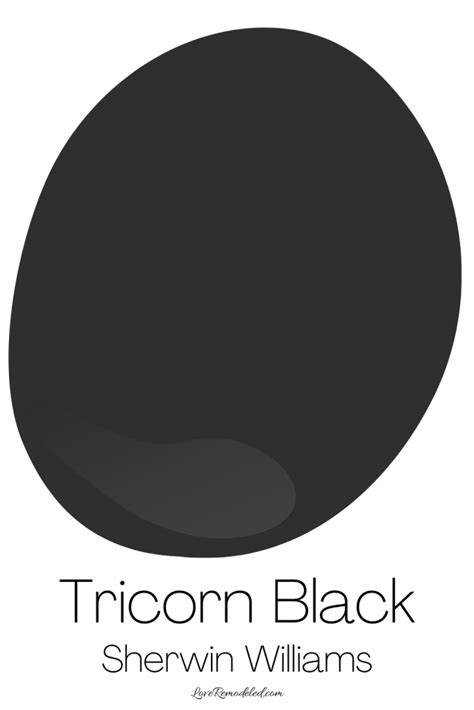 Tricorn Black - Love Remodeled