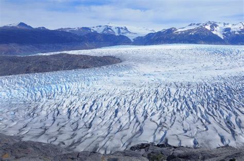 Grey Glacier. Torres Del Paine National Park Stock Photo - Image of cliff, ecosystem: 64944942