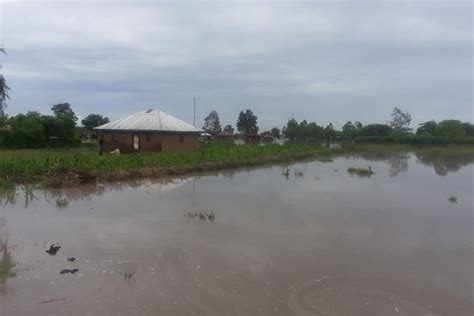 Families seek shelter in schools as floods wreak havoc in Nyanza ...