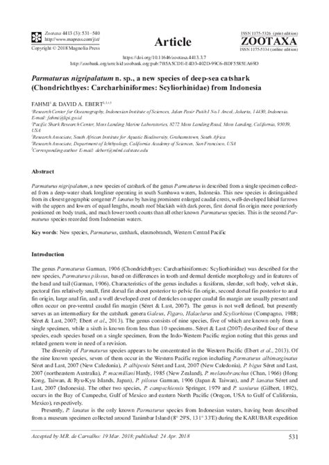 (PDF) Parmaturus nigripalatum n. sp., a new species of deep-sea ...