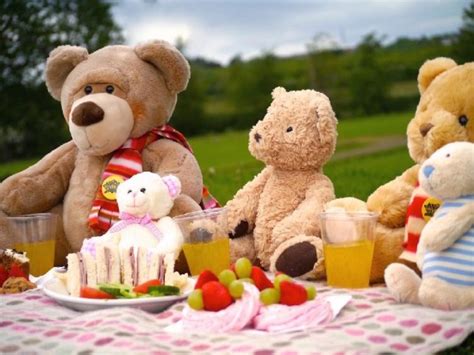 Teddy Bear's Picnic CANCELLED | Steyning Downland Scheme