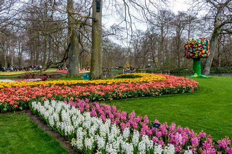 Tips for Visiting Keukenhof Gardens and the Tulip Fields in the Netherlands